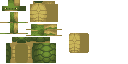 Golden Turtle